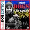 The Lost Dogs of War in Ukraine | Dog Edition #55