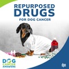 Repurposed Drugs for Cancer (Mast Cell Tumors) in Dogs | Dr. Lauren Barrow #228