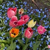 Sunshine Weekend