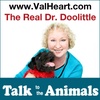 Whole Horsemanship with Penny Stone | The Real Dr. Doolittle Show | Animal Talk | Podcast #96