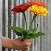 PODCAST - How to Spark EI and CX - Igniting Empathy and Emotional Skill