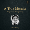 A True Mosaic: Megachurch Transparency w. Grace Baldridge