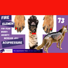 Animal Acupressure & Communication Fear, Anxiety, Joy! 🔥Fire Element | Ep 73