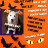 Halloween Pet Photo Contest! FREE Animal Communication  🎃👻 2 Chances