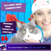 Animal Communication w Viewers’ Pets!🎄What Animals Think About Christmas|86