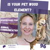 Wood Element Personality Lesson &amp; Cat/Dog Acupressure Points! | Aggression, Anxiety, More | 96