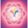 Direct Access to God Through Your Heart Chakra