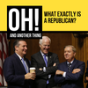 What Exactly IS a Republican?