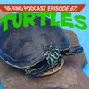 Episode 67: Seth REALLY loves turtles