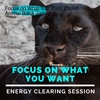 Focus on What You Want - Spirit Animal Black Jaguar