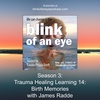 Season 3: Trauma Healing Learning 14: Birth Memories with James Radde