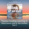 Trauma Healing Learning 4: Being Human Part 2 (with Dan Gottlieb, PhD)