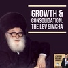 Growth &amp; Consolidation: The Lev Simcha