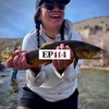 EP 114 Erica Nelson, Awkward Angler