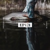EP 121 Algoma: Pike and Brook Trout at Lodge 88 in North Ontario