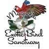 Magnolia Exotic Bird Sanctuary Part1 Segment2