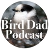 Episode 4: One Chickadee Apart