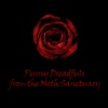 Penny Dreadfuls from the Moth Sanctuary - Trailer