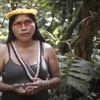 The forest is our teacher. It's time to respect it | Nemonte Nenquimo