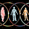 New measure characterizes gender diversity in study participants