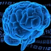 What is Consciousness?