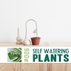 @plantstraws | Self-Watering Plants