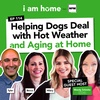 Helping Dogs Deal with Hot Weather and Aging at Home