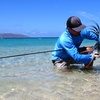 Ep. 21: Rooster Hunting Baja
