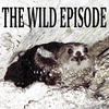 Oilbird : Humboldt's Chupacabra