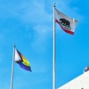 Resisting Californication