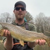 S2 Ep. 12: Trout Bumming