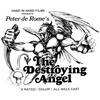 Episode 9: Peter de Rome's THE DESTROYING ANGEL (1976)
