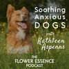 FEP33 Soothing Anxious Dogs with Kathleen Aspenns