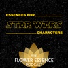 FEP39 Essences for Star Wars Characters