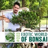 @mikelanesshohinstudio | Exotic World of Bonsai