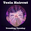 Tesla Haircut | Trending Transcript Tuesday