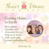 FEP56 Coming Home to Earth: How plants, animals, and elemental forces help us re-bond with earth and restore embodiment