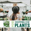 @alohashii | How to Shop for Houseplants
