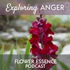 FEP21 Exploring Anger