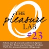 Pleasure Lab #23