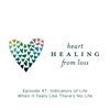 Episode 47: Indicators of Life When It Feels Like There's No Life