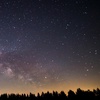 Light Pollution and Its Impacts on Birds and Other Wildlife