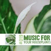 @alohashii | Music For Your Plants