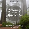 FEP47 Listening to the Ancients