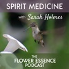 FEP22 Spirit Medicine with Sarah Holmes