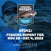 Pensacola Beach, Destin, Navarre and Panama City Fishing Report for November 28 - December 4, 2022