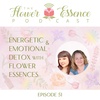 FEP51 Energetic & Emotional Detox with Flower Essences