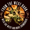 From Runner 2 Assistant Engineer 2 First Engineer At Legendary East West Studios! - Candace Stewart!