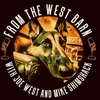 From The West Barn Podcast Mike Interviews Joe West! Pt #2