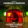 FEP12 Emergency Essences